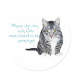 Cat Wisdom - Playing to be Scratched? Stickers