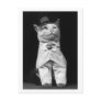 Cat With a Hat, 1906 Postcard