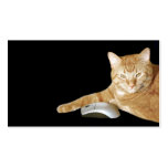 Cat with computer mouse business cards