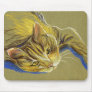 Cat with Gold Eyes - Pastel Drawing
