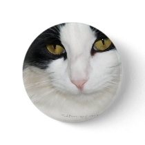 Cat with Golden Eyes Button