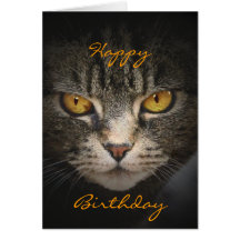 Cat with Golden Eyes Card