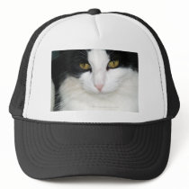 Cat with Golden Eyes Hats