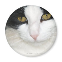 Cat with Golden Eyes Refrigerator Magnets