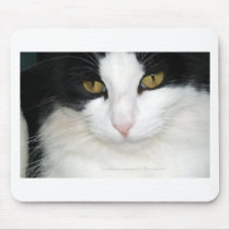 Cat with Golden Eyes Mouse Pads