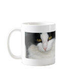 Cat with Golden Eyes mugs