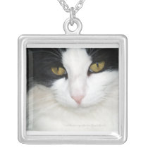 Cat with Golden Eyes Jewelry