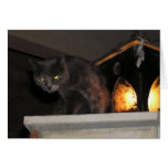 Cat with Lantern Halloween Card
