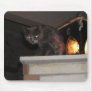 Cat with Lantern Mouse Pad