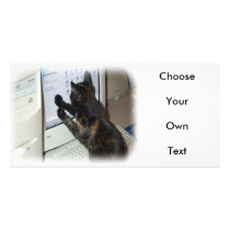 Cat with PC Photo Card Template