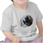 Cat with PC t-shirts