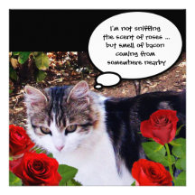 CAT WITH RED ROSES BACON BRUNCH PARTY CUSTOM INVITE