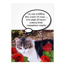 CAT WITH RED ROSES BACON BRUNCH PARTY INVITATIONS