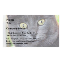 Cat With Staring Eyes Business Card