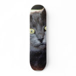 Cat With Staring Eyes skateboards
