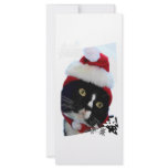 Cat with yellow eyes in Santa Hat head pic rack cards