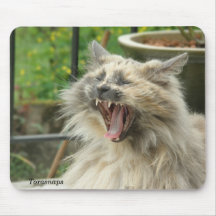 Cat Yawn Mouse Pads