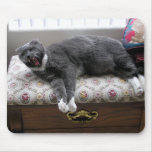 Cat Yawn! Mouse Pad