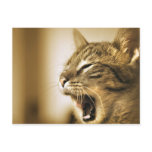 cat yawning post card