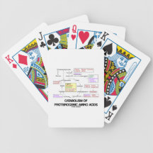 Catabolism Of Proteinogenic Amino Acids Bicycle Poker Cards