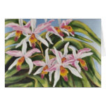 "Catalaya Orchids" cards