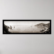 Catalina Bay With Boats LG Photo 1915 Print