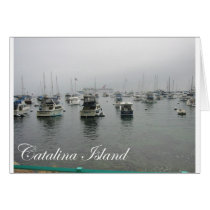 Catalina Island 4 cards