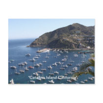 , "Catalina Island California" Postcard