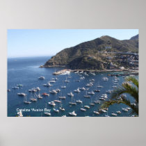 Catalina Island