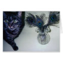 catandpeacockfeathers 001 cards