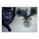 catandpeacockfeathers 001 cards