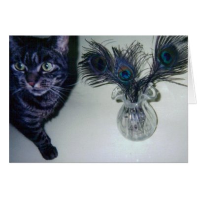 catandpeacockfeathers 001 greeting cards by BeautyUnlimited