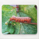 "Catapitter" mousepads