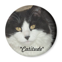 Catatude Cat Attitude Humour