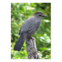 Catbird ATC Business Card Template