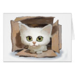 Catbox Card