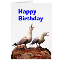 Catcalling Gulls Card