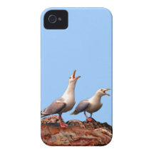Catcalling Gulls Case-Mate iPhone 4 Case