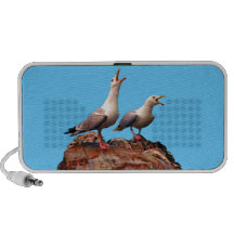 Catcalling Gulls Travel Speaker