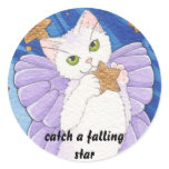 Catch a falling star sticker