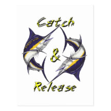 Catch and Release Marlins Post Cards