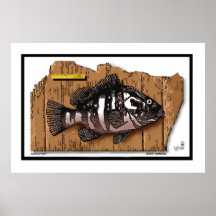 Catch & Fillet Poster