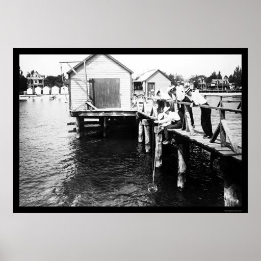Catching Crabs at Colonial Beach, VA 1914 Posters