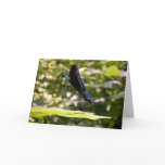 Catching Some Sun Greeting Card