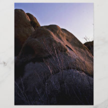Catclaw Acacia And Boulder Flyers