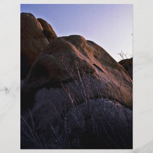 Catclaw Acacia And Boulder Flyers