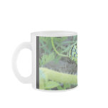 Caterpillar mugs