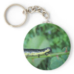 Caterpillar Yellow and Black keychains