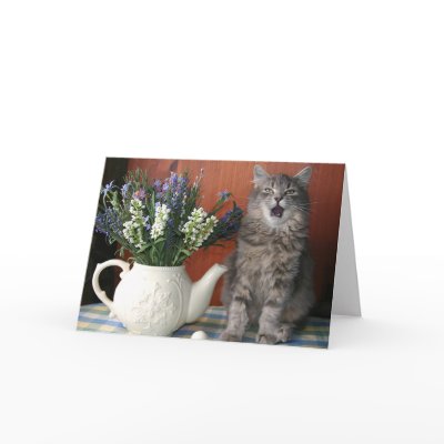 'Caterwaul', Singing Cat Notecard by Classic_Cat