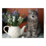 'Caterwaul', Singing Cat Notecard